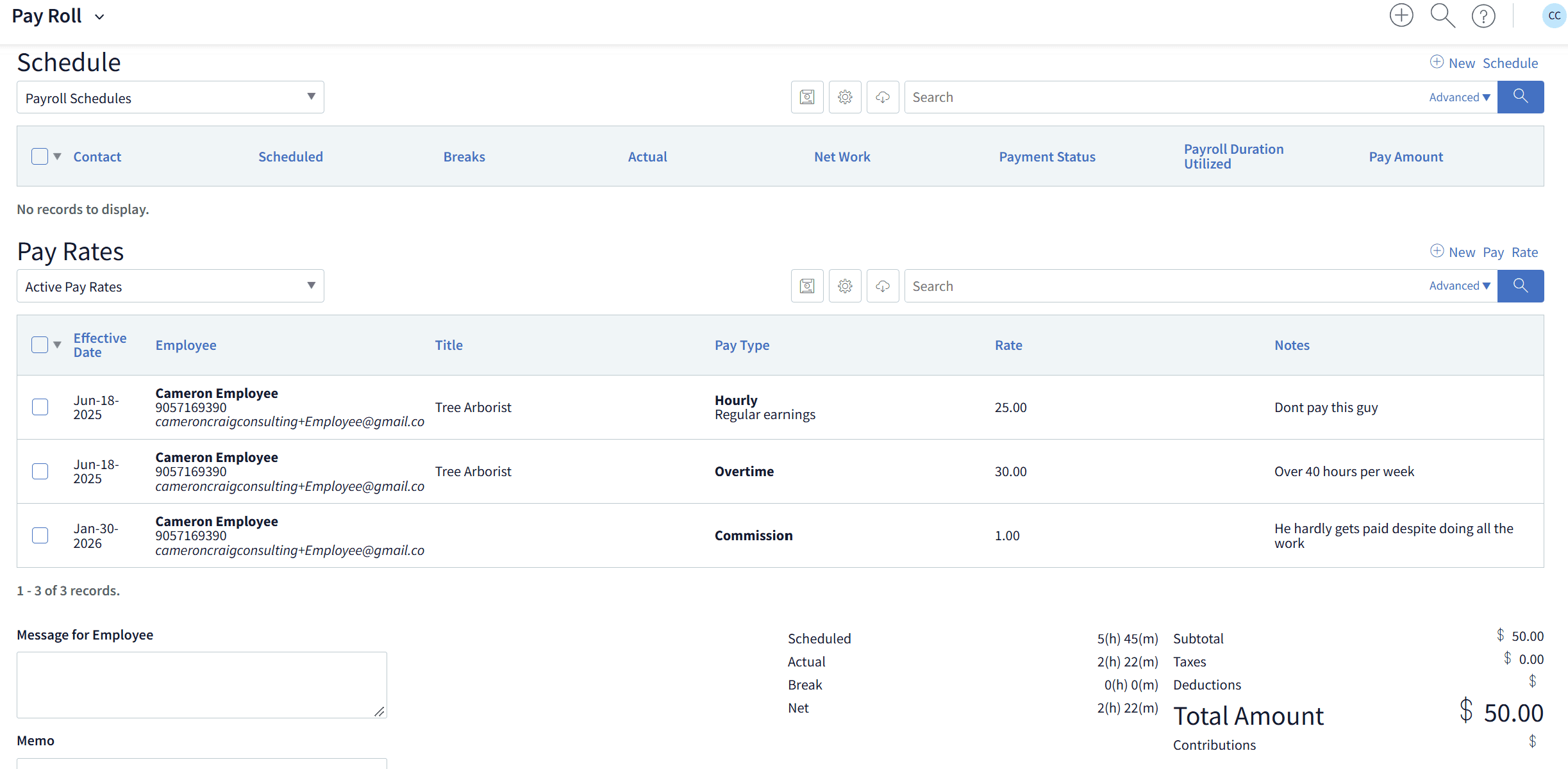 Payroll screen 2